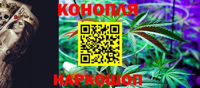 альфа пвп Заводоуковск