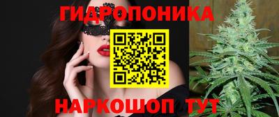 альфа пвп Заводоуковск